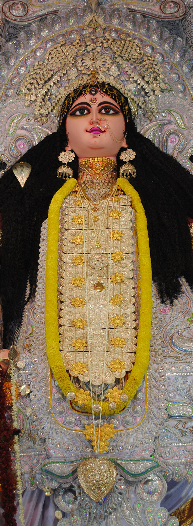 Bagbazar Sarbojanin